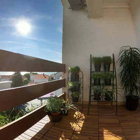 Sun-drenched 