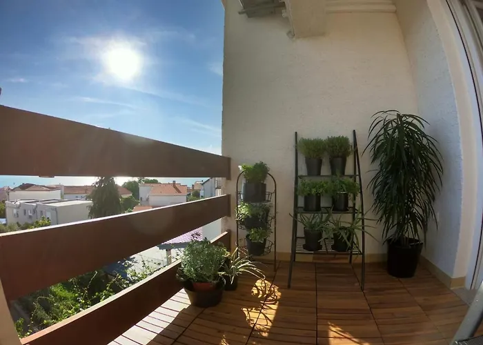 Sun-drenched 